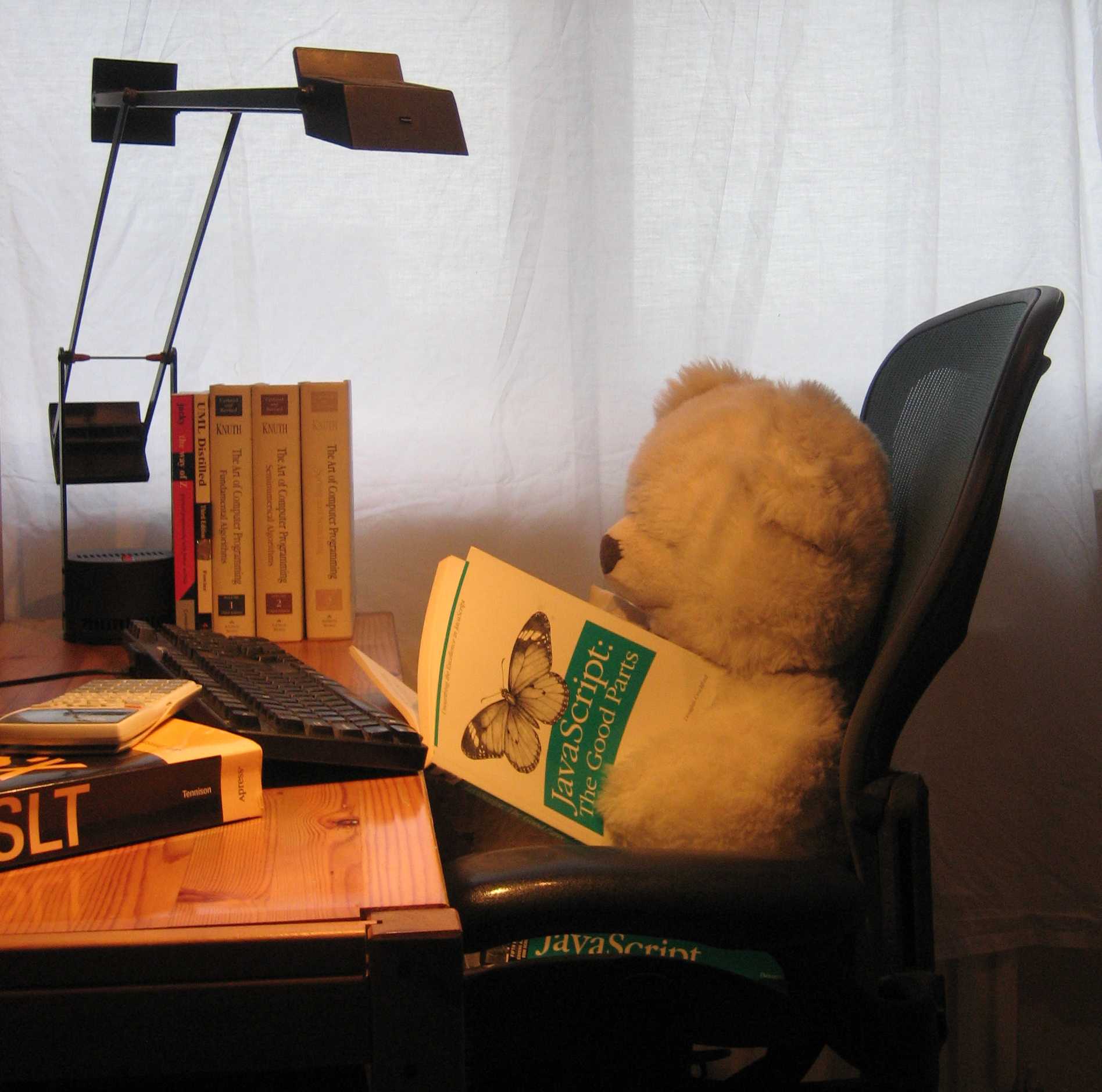 image for software developer